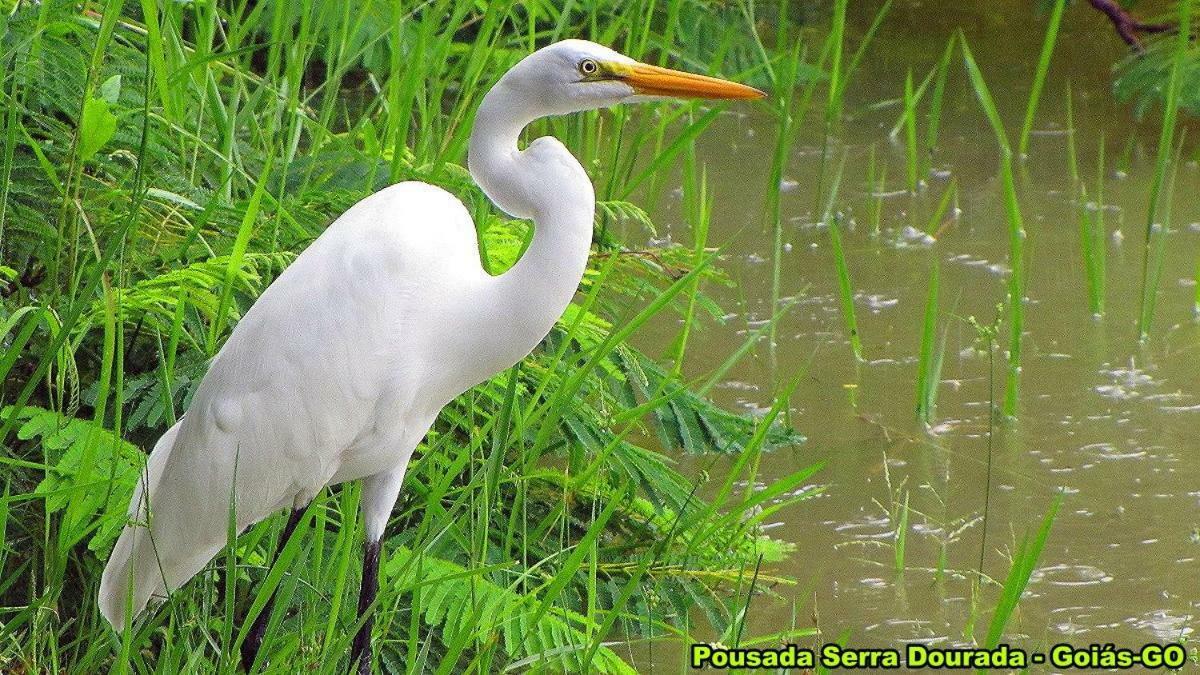Pousada Serra Dourada Goiás Exteriér fotografie